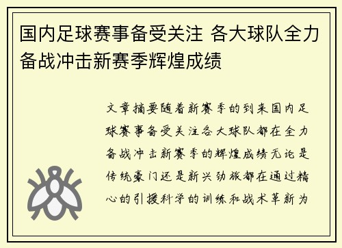 国内足球赛事备受关注 各大球队全力备战冲击新赛季辉煌成绩